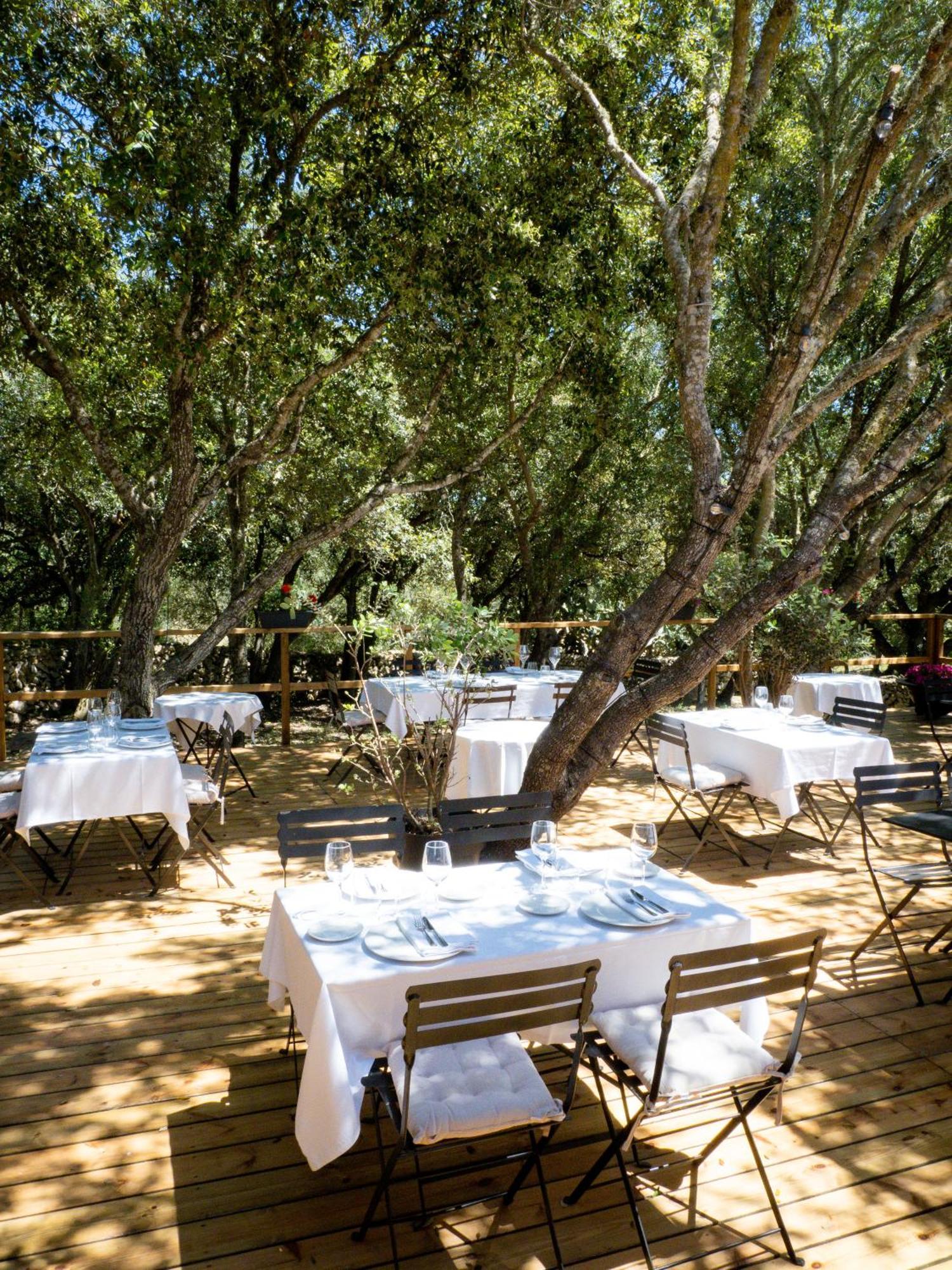 אלאיור Agroturismo Santa Mariana מראה חיצוני תמונה