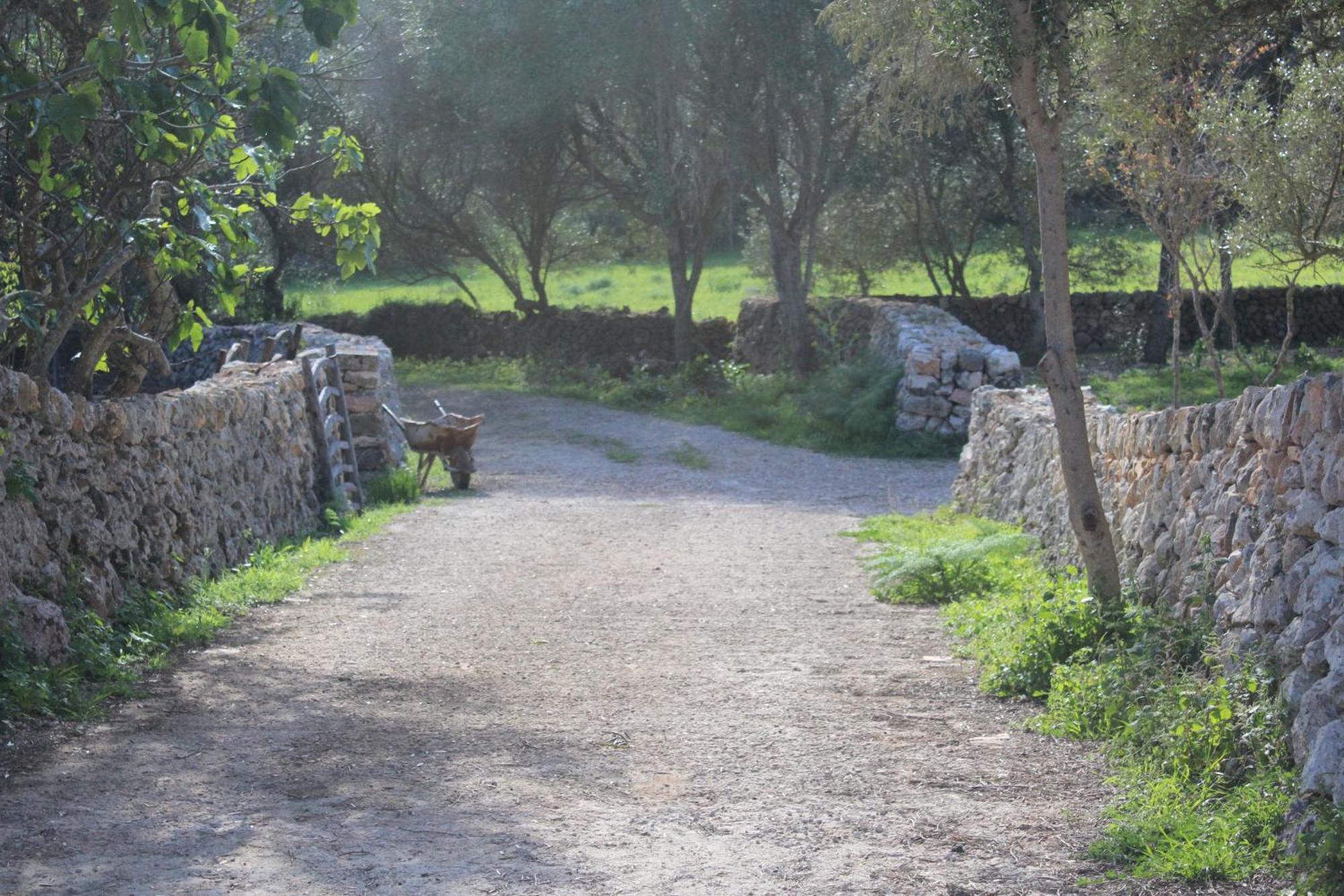 אלאיור Agroturismo Santa Mariana מראה חיצוני תמונה