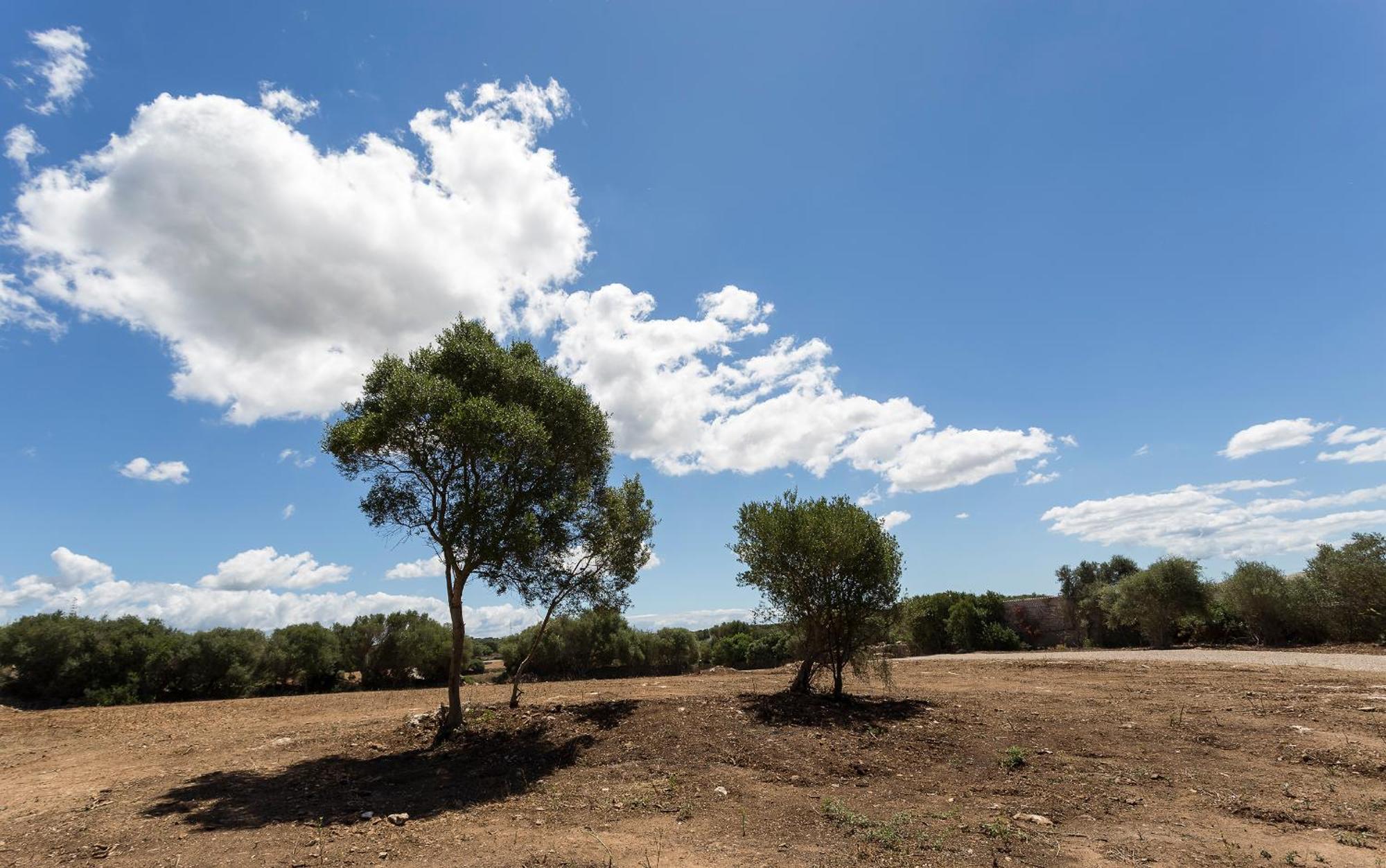 אלאיור Agroturismo Santa Mariana מראה חיצוני תמונה
